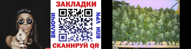 Наркота Межгорье Бошки Шишки  Галлюциногенные грибы  Метамфетамин  ГАШ  Меф мяу мяу  A-PVP 