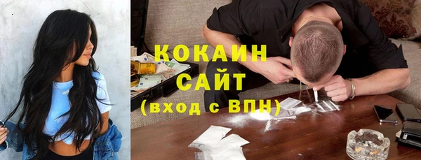амф Коряжма